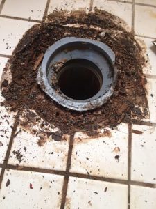 leaky-toilet-emergency-plumber-columbia-ct-plumbing