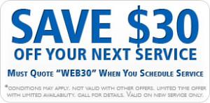 Let us know you saw our website & save $30! - Springtime Tips