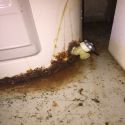 water heater replacement in coventry ct